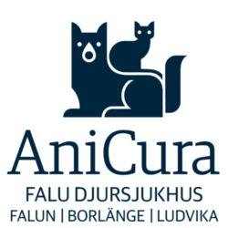 AniCura Falu Djursjukhus
